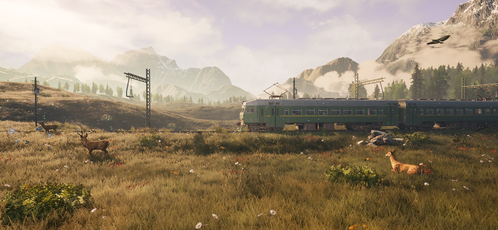 ForestTrain5.jpg