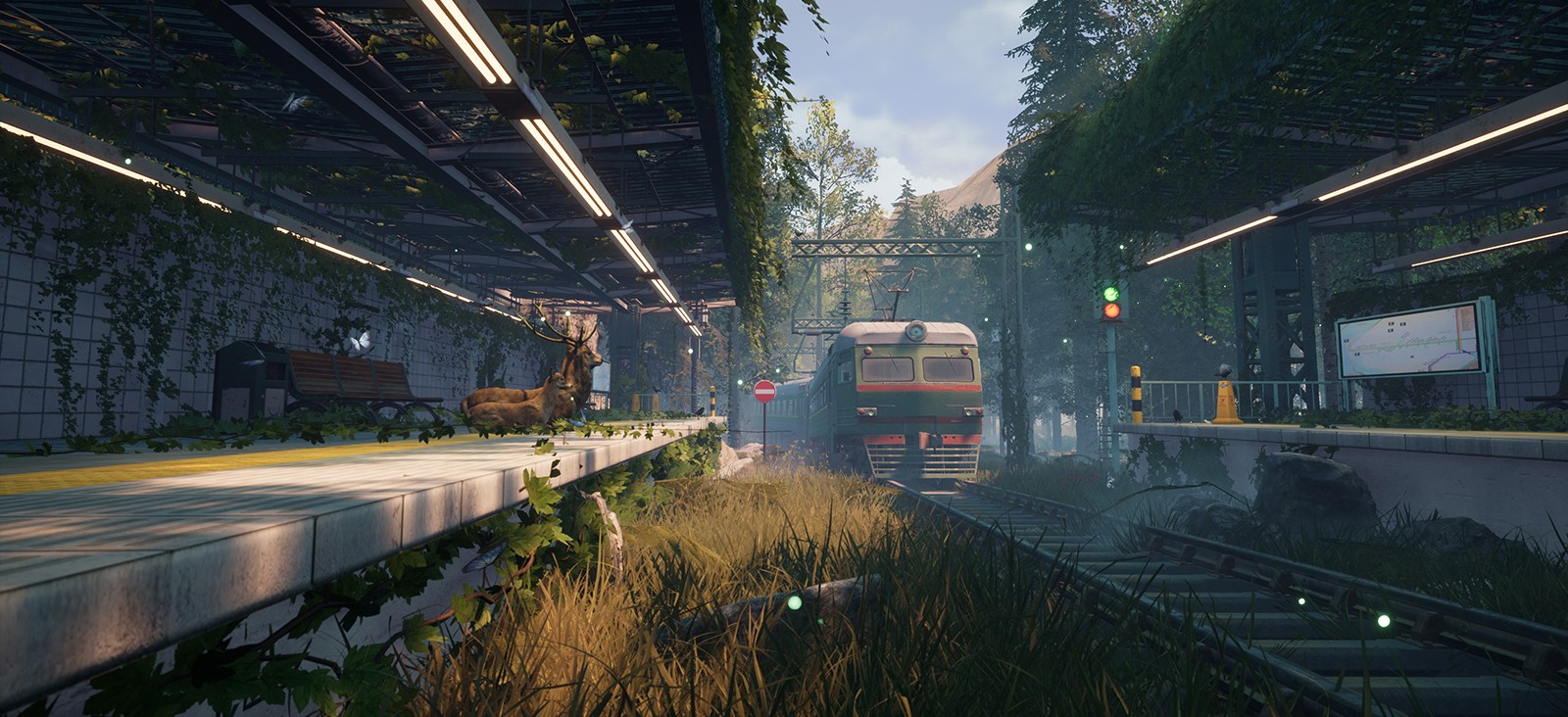 ForestTrain2.jpg